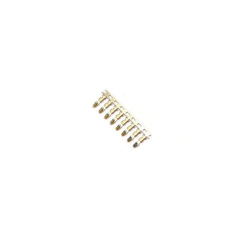 Tira de conectores molex P100 CZ-010