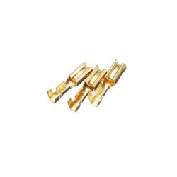 Zapata hembra dorada para...