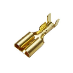 Zapata hembra dorada para...