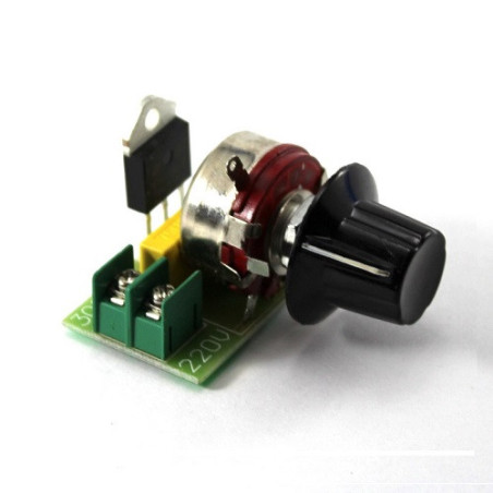 Dimmer regulador de alta potencia 3000W 220V
