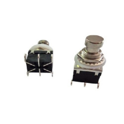 Switch push ON-ON para...